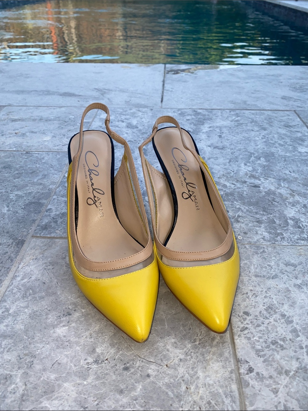 CharlyAmar Yellow Pointed-Toe Slingback Flats with Tan Trim